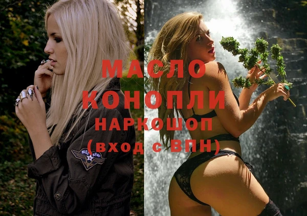 твердый Коряжма